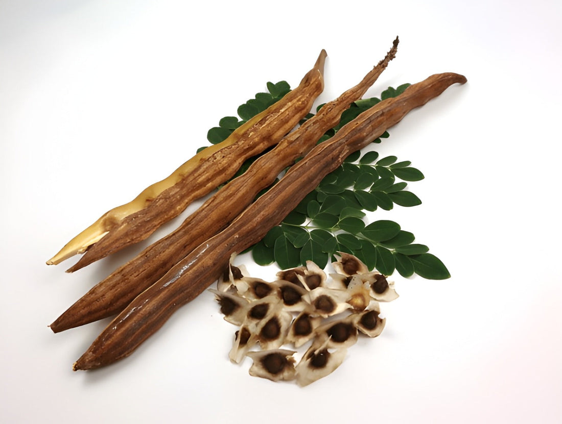 Starters with Moringa