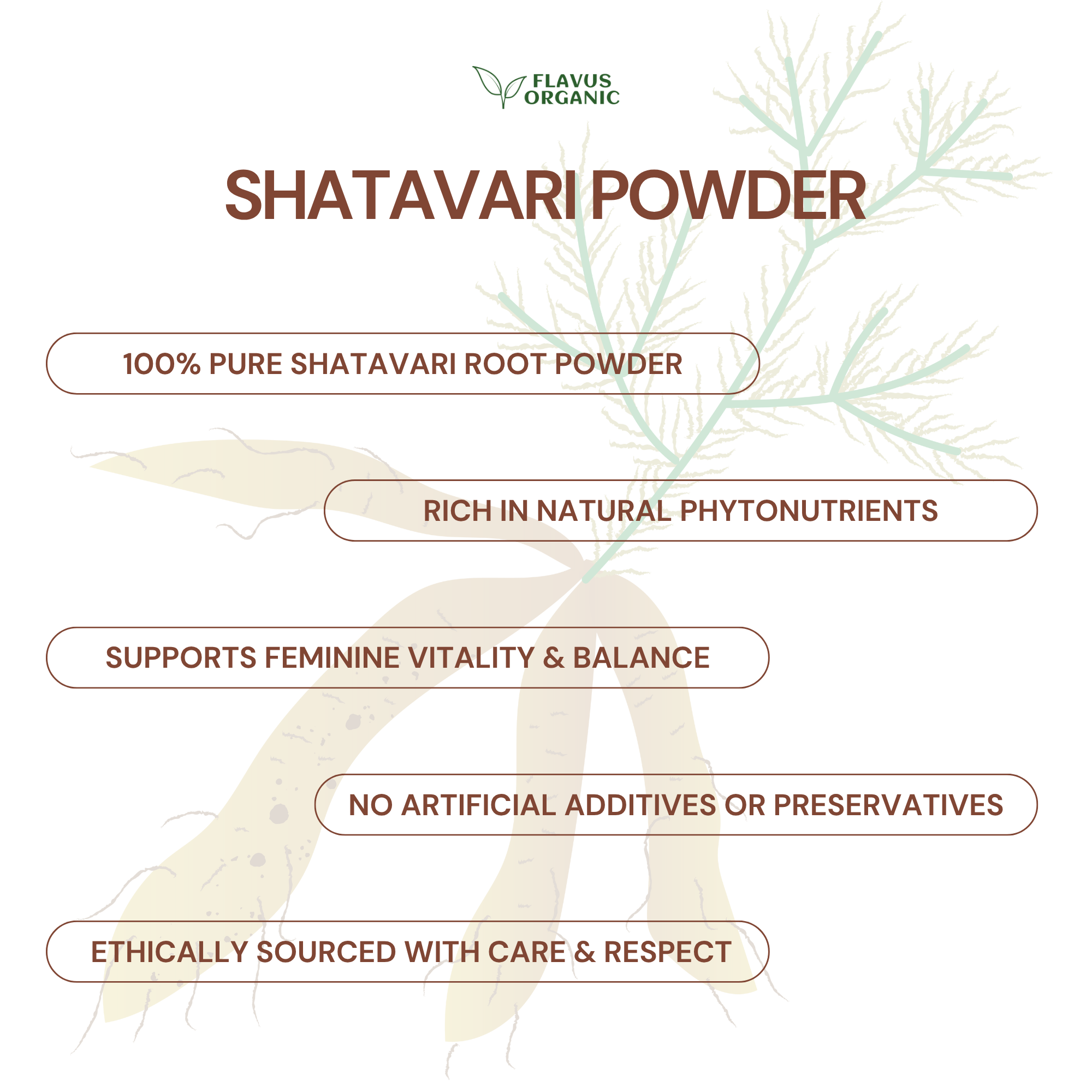 Shatavari Yellow Powder