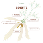 Shatavari Yellow Powder