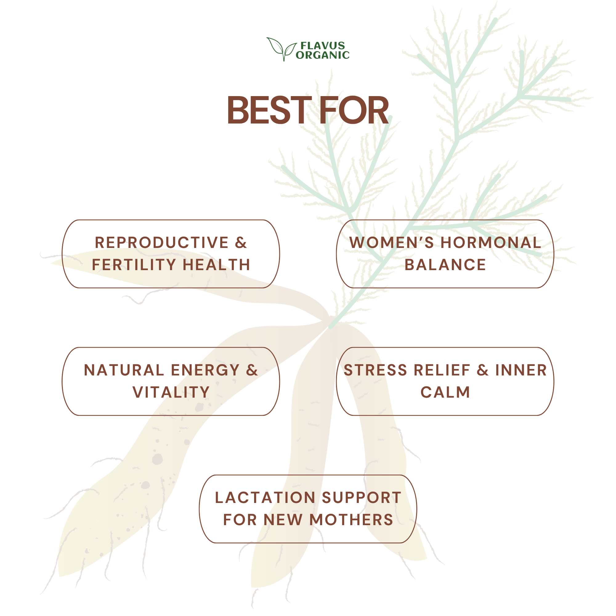 Shatavari Yellow Powder