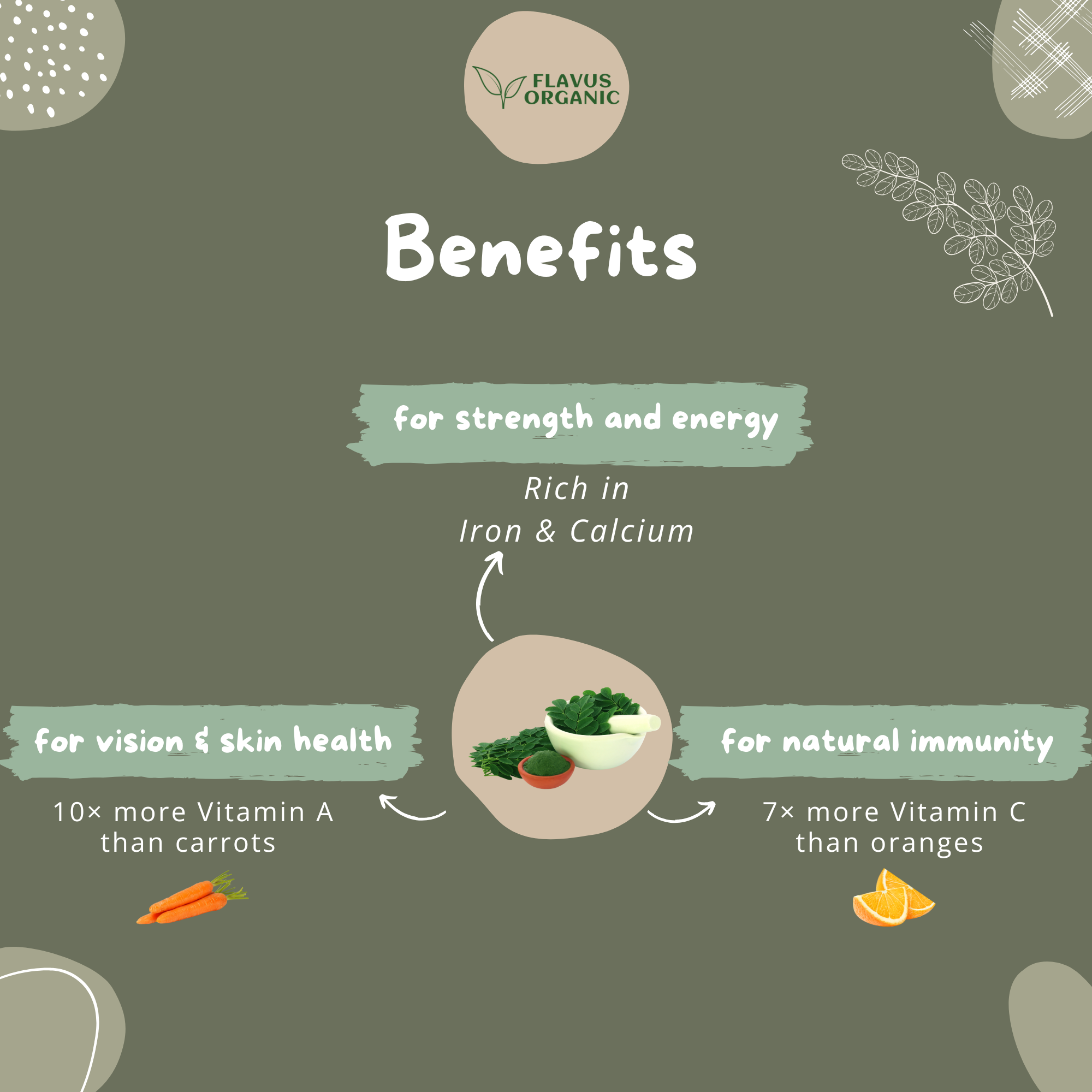 Flavus Organic Moringa Powder benefits like strength, energy, vision, skin health and immunity.