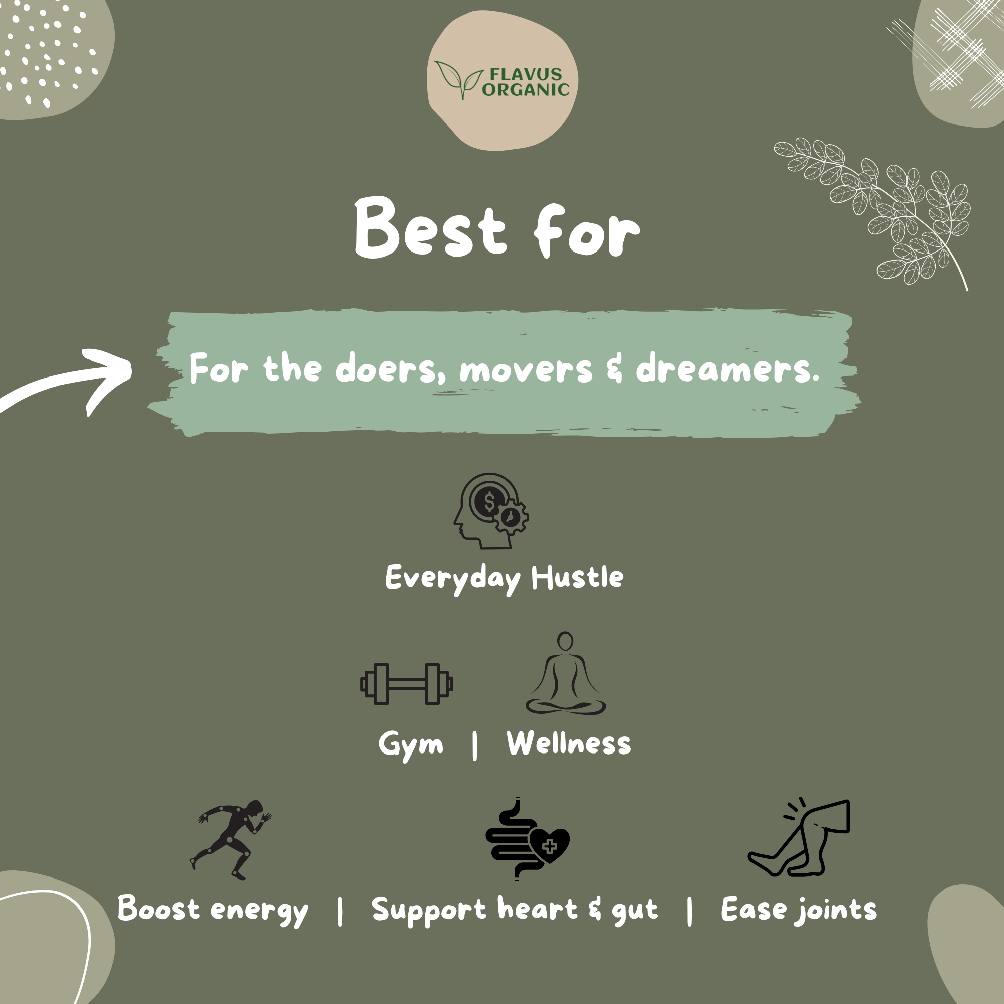 Flavus Organic Moringa Powder is Best For