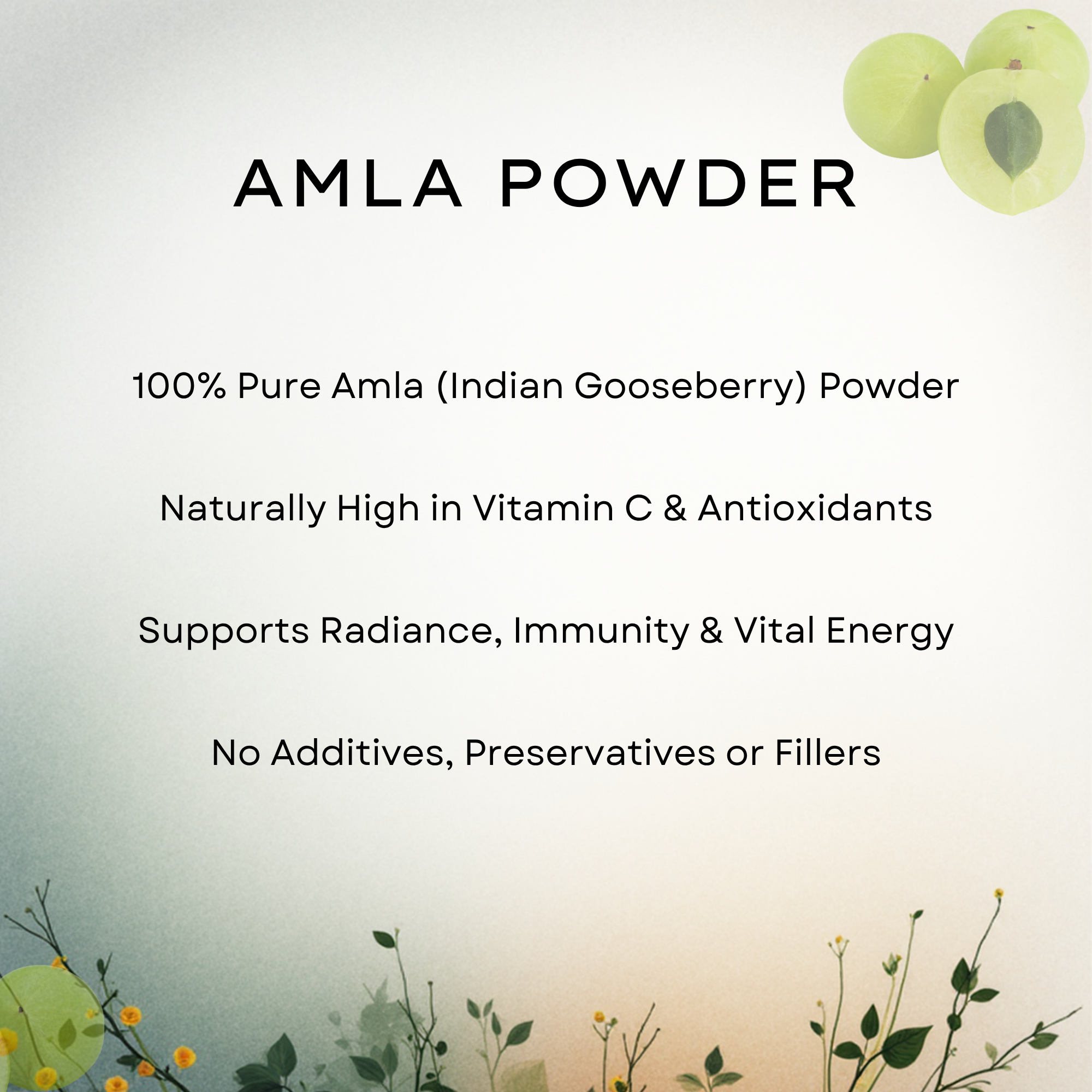 Amla Powder