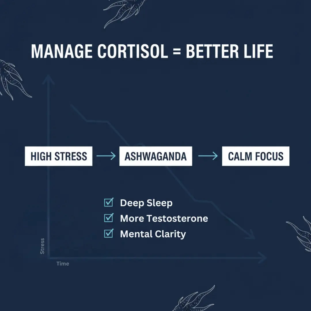 Benefits of Ashwagandha Powder