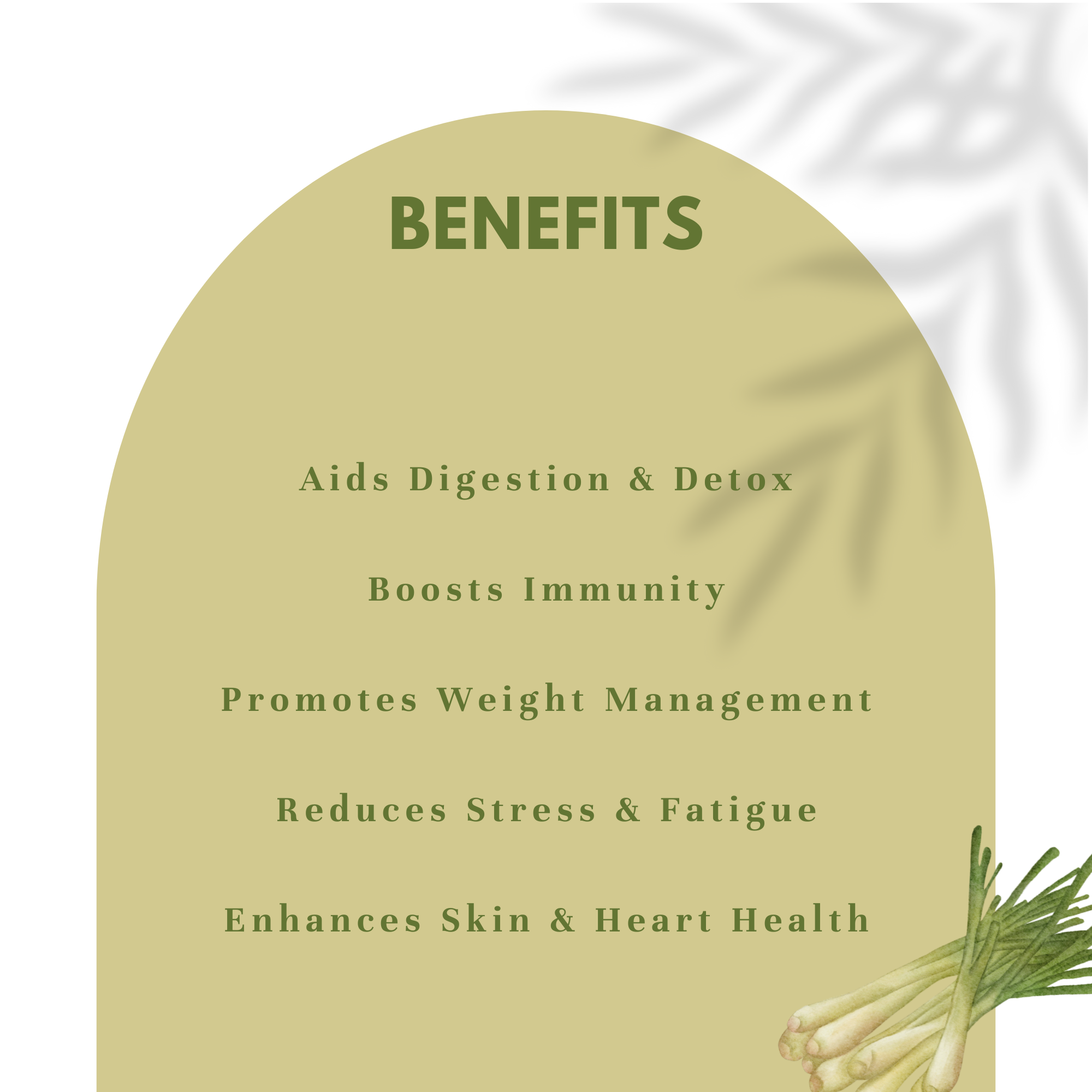 Benefits of Flavus Organic Lemongrass Powder
