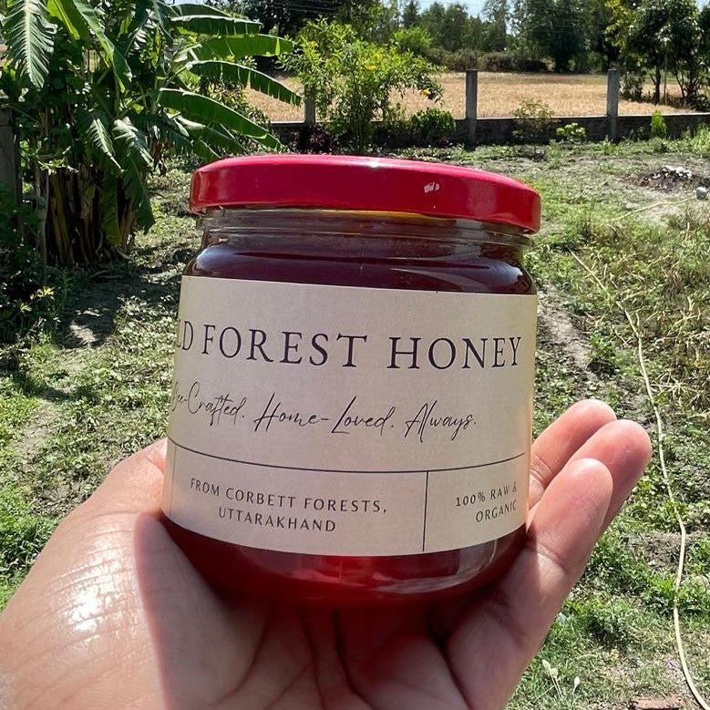 Wild Forest Honey Jar